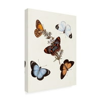 Непознати „пеперутки и молци IV“ платно уметност