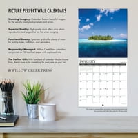 Willow Creek Press Dolphins Wall Calendar