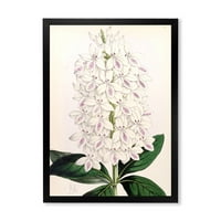 DesignArt 'Античка бела орхидеја III' Традиционална врамена уметност