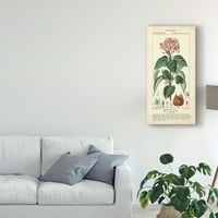 Студија за ликовна уметност во трговска марка „Студија за ботаник во Пинк и платно уметност од Турпин