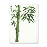 DesignArt 'Детали за темно зелениот бамбус на белиот III' Традиционален врамен уметнички принт