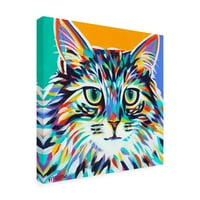 Трговска марка ликовна уметност „Драматични мачки I“ платно уметност од Кероле Виталети