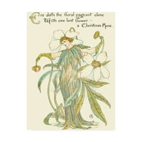 Трговска марка ликовна уметност „Шекспир Градина XII“ платно уметност од Волтер Крејн