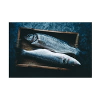Александрова Карина „две риби“ уметност