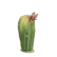 8,5 Југозападен стил зелен и жолт кактус на дрвена основа со розов цвет