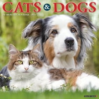 Willowиден календар на willow Creek Press Cats и кучиња